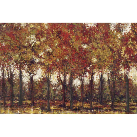 Bordeaux Trees Gold Ornate Wood Framed Art Print with Double Matting by Dolce, Carmen