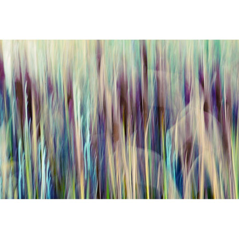 Colors of Canada I Black Modern Wood Framed Art Print by SD Enterprises