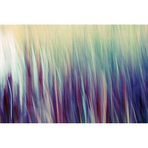 Colors of Canada II White Modern Wood Framed Art Print by SD Enterprises