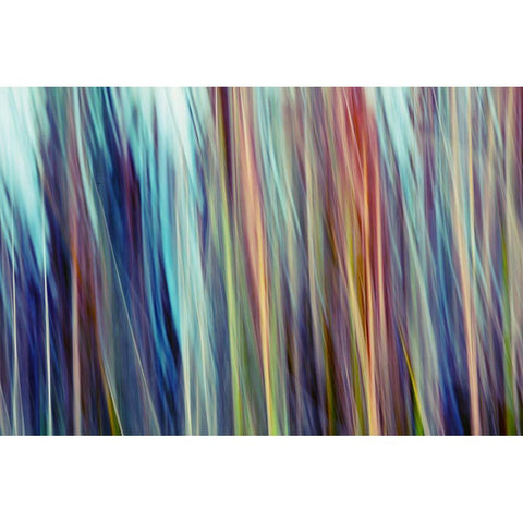 Colors of Canada III Gold Ornate Wood Framed Art Print with Double Matting by SD Enterprises