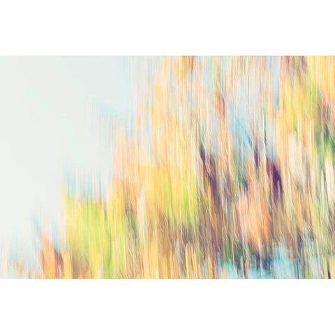 Back to September II  Black Modern Wood Framed Art Print with Double Matting by SD Enterprises