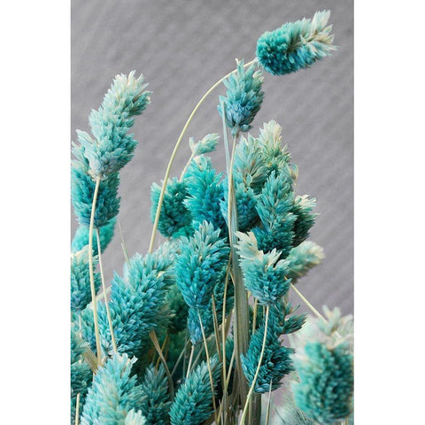 Autumnal Teal I Black Modern Wood Framed Art Print with Double Matting by Savone, Daniela
