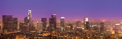 Purple LA Sunset Black Ornate Wood Framed Art Print with Double Matting by Stein, Daniel