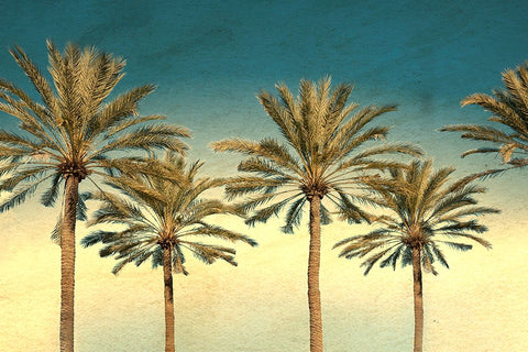 Distressed Palm Trees White Modern Wood Framed Art Print with Double Matting by Stein, Daniel