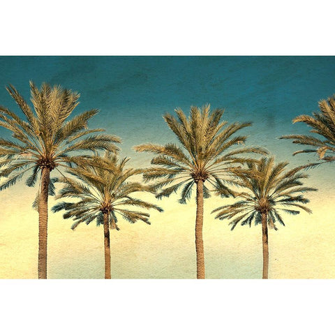 Distressed Palm Trees White Modern Wood Framed Art Print by Stein, Daniel