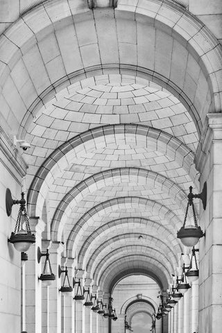 Union Station Arches Black Ornate Wood Framed Art Print with Double Matting by Stein, Daniel