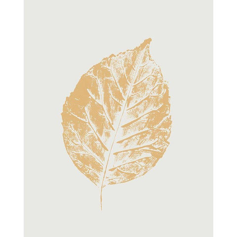 Colour Leaf Print I  White Modern Wood Framed Art Print by Leonard, Sarah