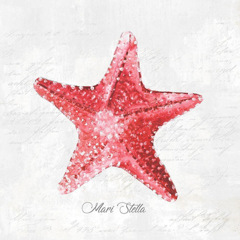 Red Starfish  White Modern Wood Framed Art Print with Double Matting by Watts, Eva