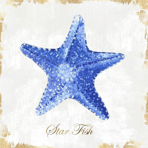 Blue Starfish  White Modern Wood Framed Art Print with Double Matting by Watts, Eva