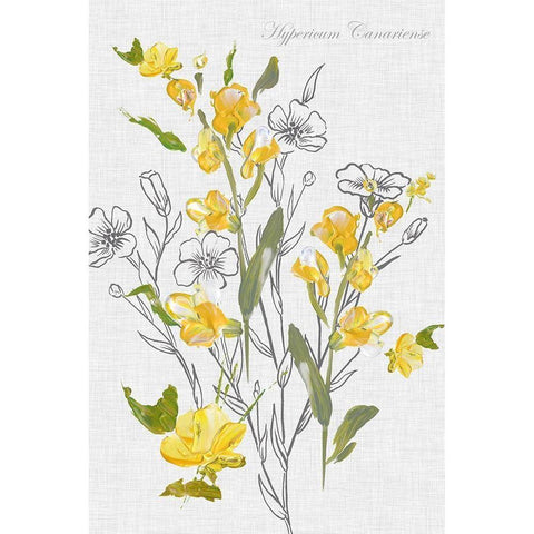 Botantical Yellow Flowers  White Modern Wood Framed Art Print by Watts, Eva