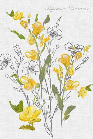 Botantical Yellow Flowers  White Modern Wood Framed Art Print with Double Matting by Watts, Eva