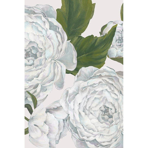 Grey Peony I  White Modern Wood Framed Art Print by Watts, Eva