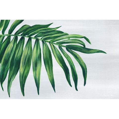 Tropical Leaf I  Black Modern Wood Framed Art Print with Double Matting by Watts, Eva