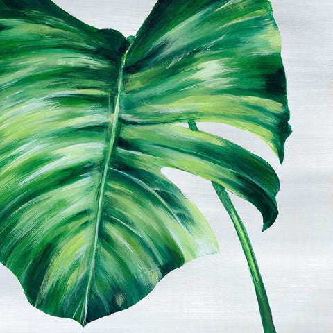 Tropical Leaf II  White Modern Wood Framed Art Print by Watts, Eva