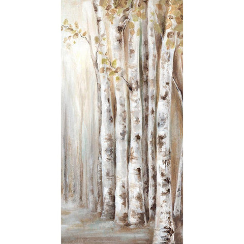 Sunset Birch Forest II  White Modern Wood Framed Art Print by Watts, Eva