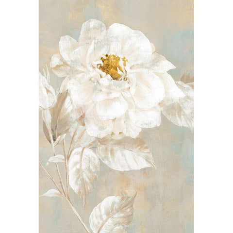 White Rose I  White Modern Wood Framed Art Print by Watts, Eva