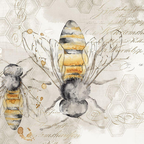 Queen Bee I  White Modern Wood Framed Art Print with Double Matting by Watts, Eva