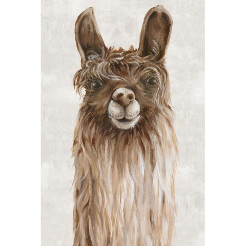 Suri Alpaca I  Black Modern Wood Framed Art Print with Double Matting by Watts, Eva