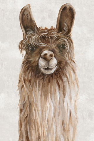 Suri Alpaca I  Black Ornate Wood Framed Art Print with Double Matting by Watts, Eva