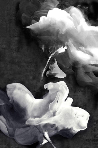 Dark Beauty I  Black Ornate Wood Framed Art Print with Double Matting by Watts, Eva