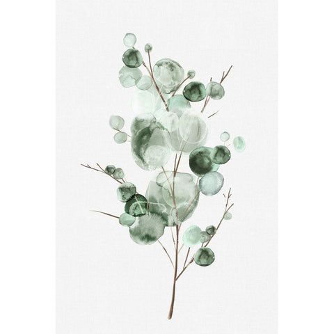 Tender Sprout I White Modern Wood Framed Art Print by Watts, Eva