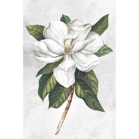 Pearly Beauty I White Modern Wood Framed Art Print by Watts, Eva