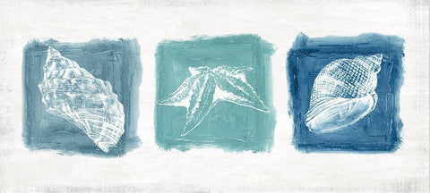 Shell Trio Black Ornate Wood Framed Art Print with Double Matting by Watts, Eva