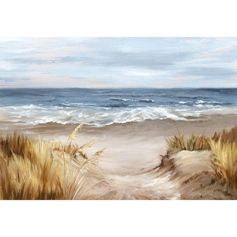 Untouched Beach  Black Modern Wood Framed Art Print with Double Matting by Watts, Eva