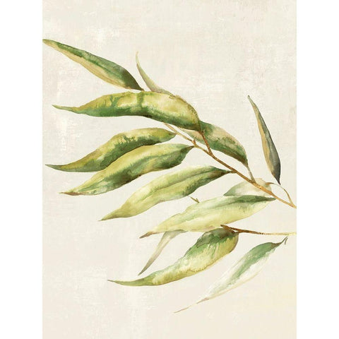 Willow Branch II Gold Ornate Wood Framed Art Print with Double Matting by Watts, Eva