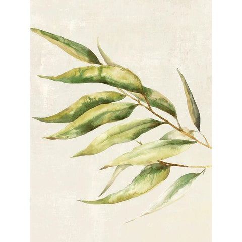 Willow Branch II White Modern Wood Framed Art Print by Watts, Eva