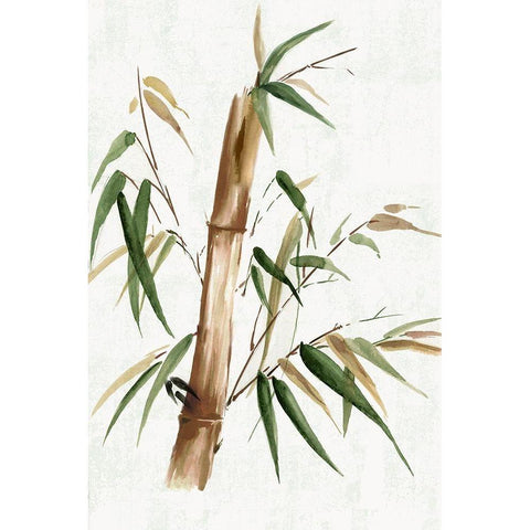 Green Bamboo II White Modern Wood Framed Art Print by Watts, Eva