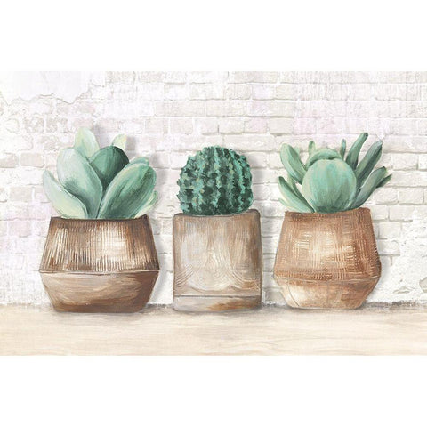 Three Cactus  White Modern Wood Framed Art Print by Watts, Eva