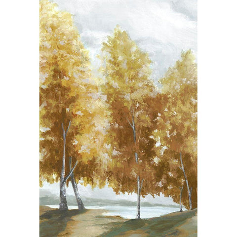 Fall Coloured Trees  White Modern Wood Framed Art Print by Watts, Eva