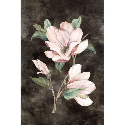 Pink Magnolia II  Gold Ornate Wood Framed Art Print with Double Matting by Watts, Eva