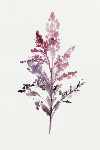 Botanical II White Modern Wood Framed Art Print with Double Matting by Isabelle Z