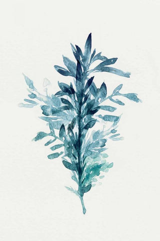 Botanical III White Modern Wood Framed Art Print with Double Matting by Isabelle Z