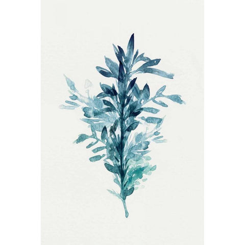 Botanical III Black Modern Wood Framed Art Print with Double Matting by Isabelle Z