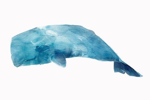 Whale White Modern Wood Framed Art Print with Double Matting by Isabelle Z