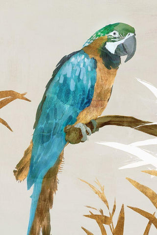 Blue Parrot I White Modern Wood Framed Art Print with Double Matting by Isabelle Z
