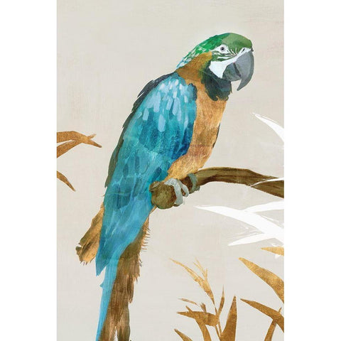 Blue Parrot I White Modern Wood Framed Art Print by Isabelle Z