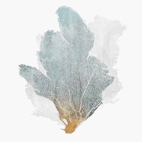 Delicate Coral II  White Modern Wood Framed Art Print by Isabelle Z