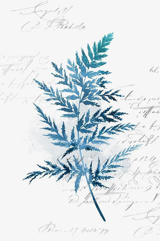 Botanical Blue I  Black Ornate Wood Framed Art Print with Double Matting by Isabelle Z