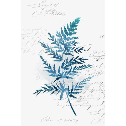 Botanical Blue I  Black Modern Wood Framed Art Print with Double Matting by Isabelle Z