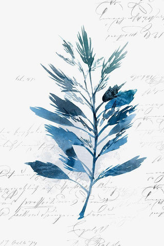 Botanical Blue II  Black Ornate Wood Framed Art Print with Double Matting by Isabelle Z