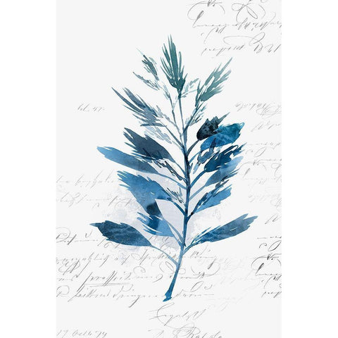 Botanical Blue II  Black Modern Wood Framed Art Print with Double Matting by Isabelle Z