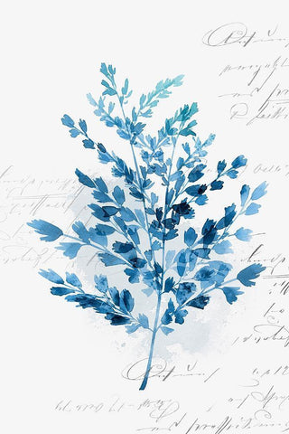 Botanical Blue III  Black Ornate Wood Framed Art Print with Double Matting by Isabelle Z