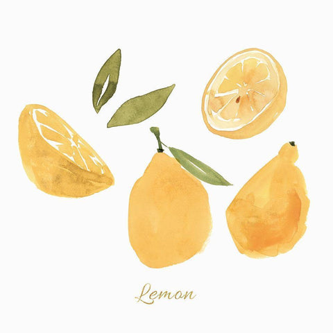 Fresh Lemons Black Modern Wood Framed Art Print with Double Matting by Isabelle Z