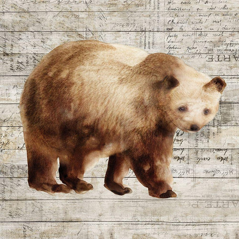 Crossing Bear I  White Modern Wood Framed Art Print with Double Matting by Isabelle Z