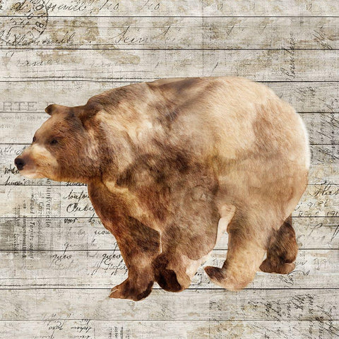 Crossing Bear II  White Modern Wood Framed Art Print with Double Matting by Isabelle Z