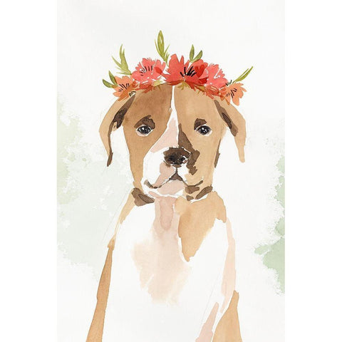 Puppy II Black Modern Wood Framed Art Print with Double Matting by Isabelle Z